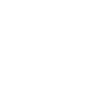 THUNDERBIRD